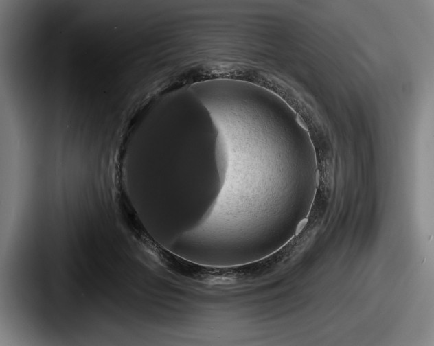 X0000087700653200705111404