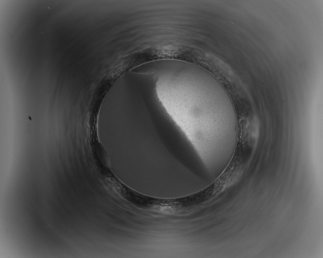 X0000087700655200705111404