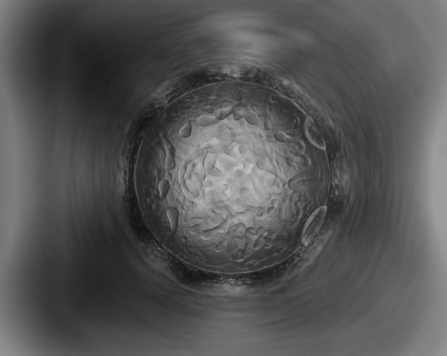 X0000087700656200705111404