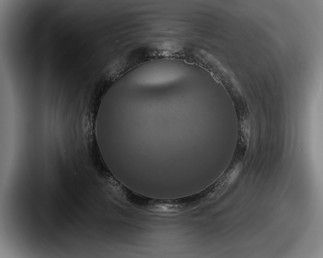 X0000087700657200705111404