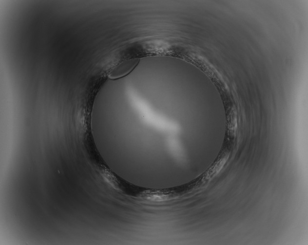 X0000087700658200705111404