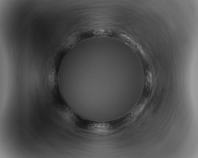 X0000087700659200705111404