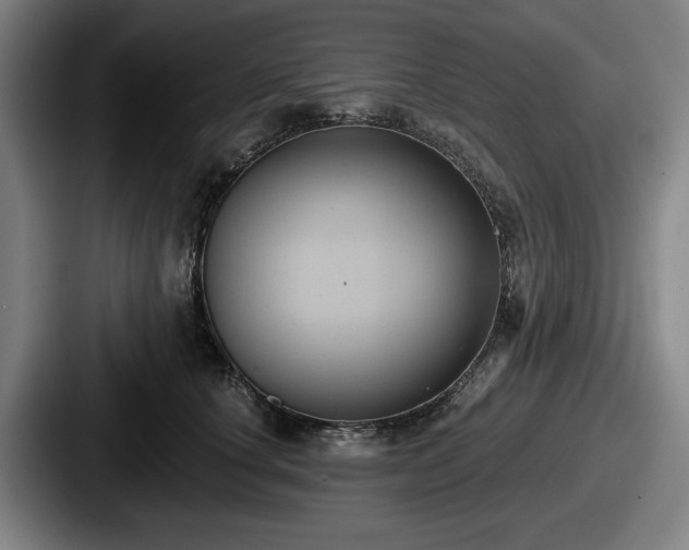 X0000087700660200705111404