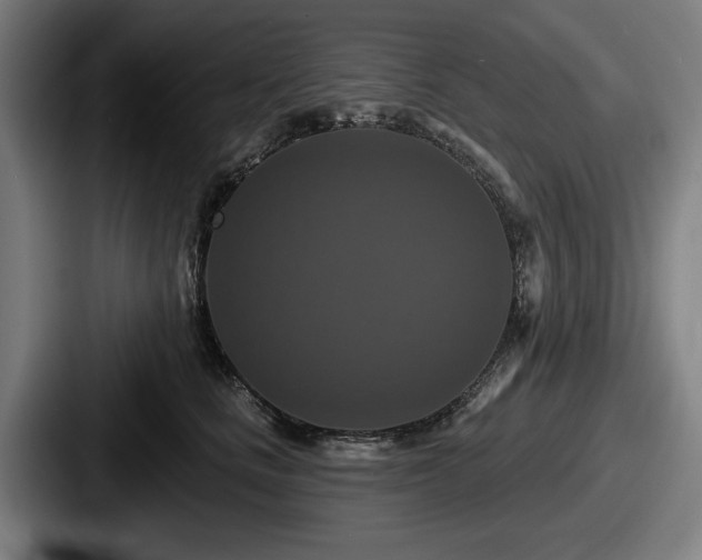 X0000087700661200705111404