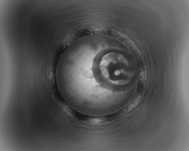 X0000087700662200705111404