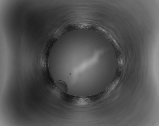 X0000087700663200705111404