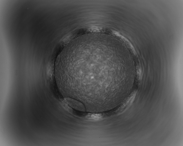 X0000087700665200705111404