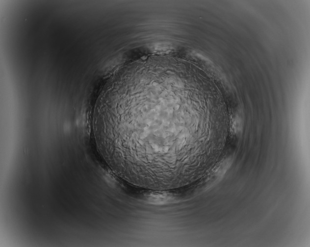 X0000087700666200705111404