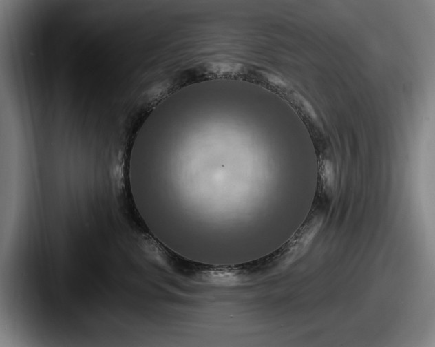 X0000087700668200705111404