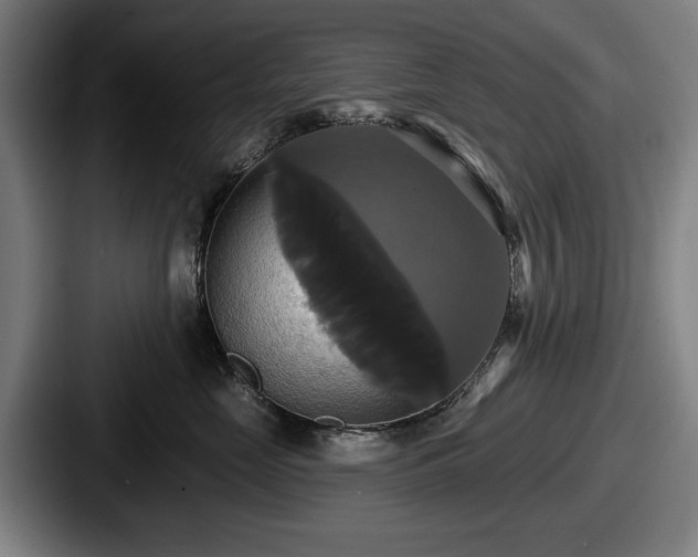 X0000087700669200705111404