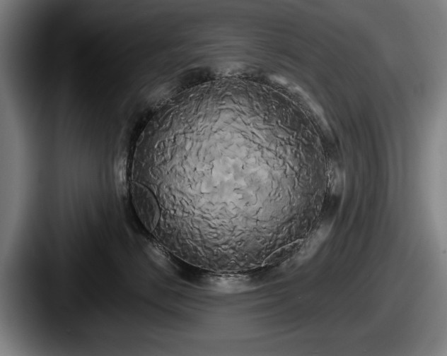 X0000087700670200705111404