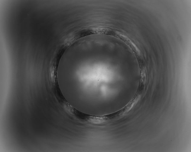 X0000087700671200705111404