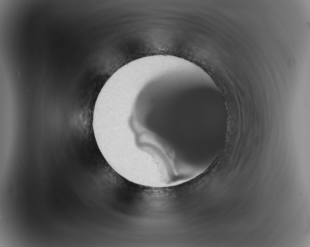 X0000087700672200705111404