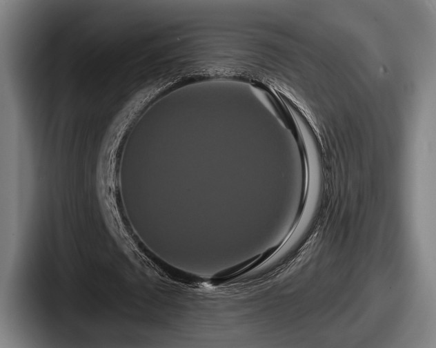 X0000087700673200705111403