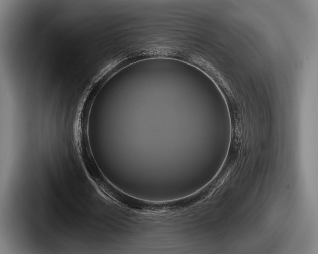 X0000087700674200705111403