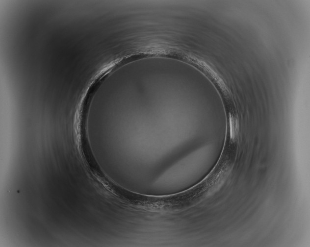 X0000087700675200705111403