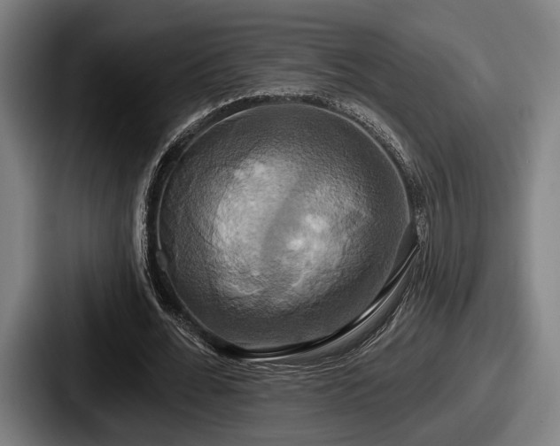 X0000087700676200705111403