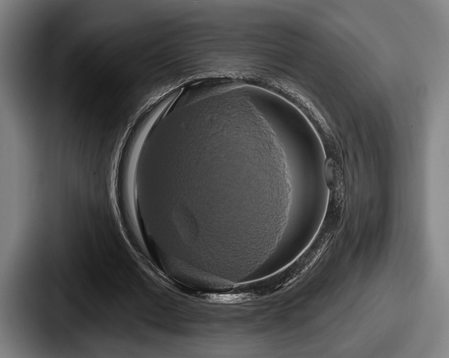 X0000087700677200705111403