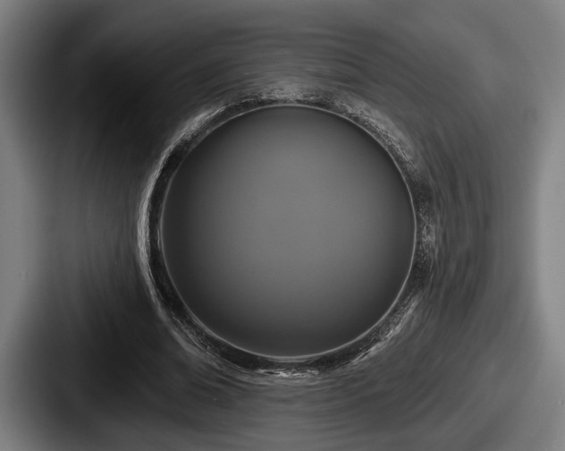 X0000087700678200705111403