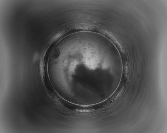 X0000087700679200705111403