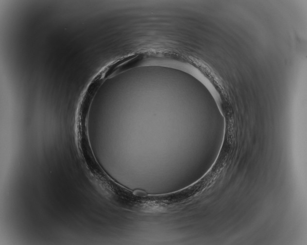 X0000087700680200705111403