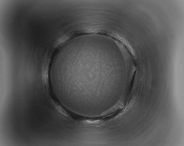 X0000087700681200705111403