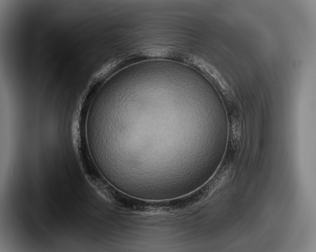 X0000087700682200705111403