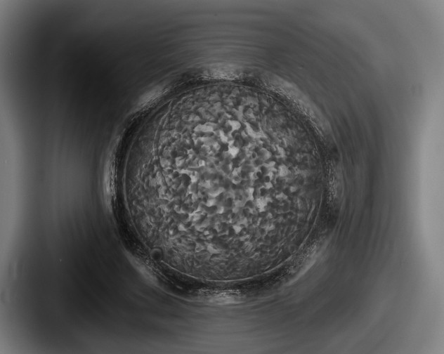 X0000087700683200705111403