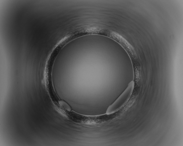 X0000087700684200705111403