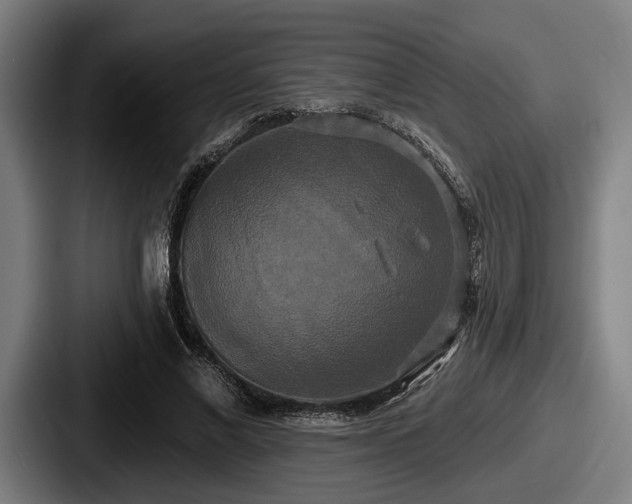 X0000087700685200705111403