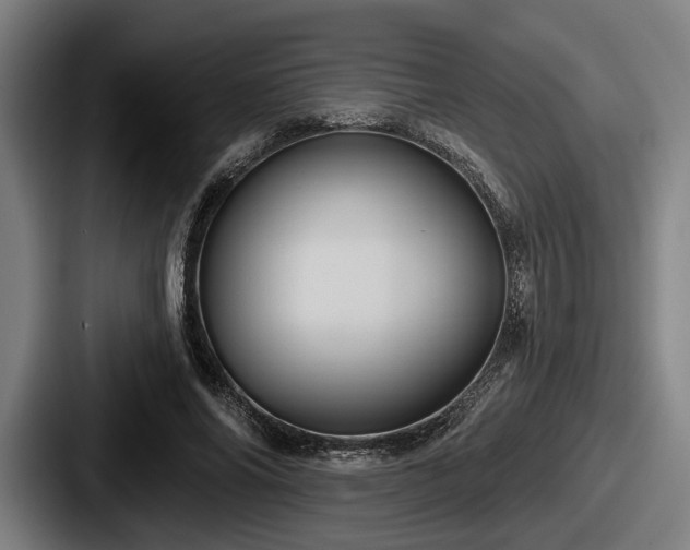 X0000087700686200705111403