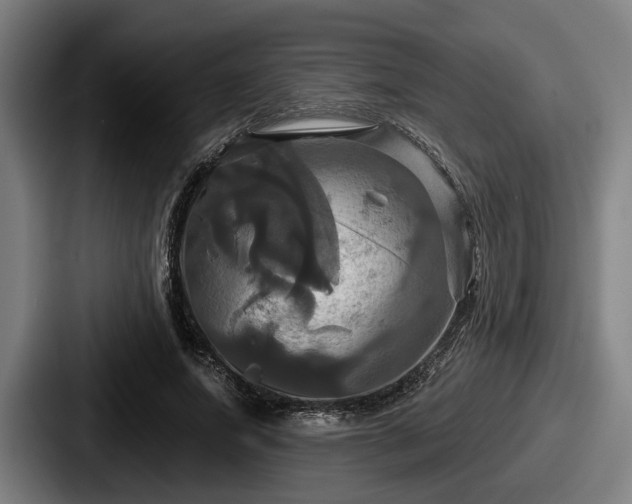 X0000087700687200705111403