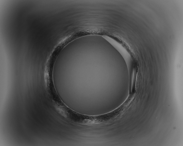 X0000087700688200705111403