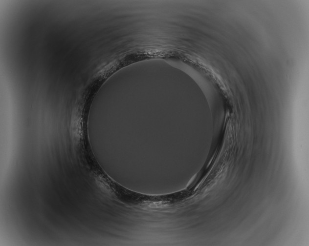 X0000087700689200705111403