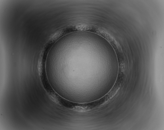 X0000087700690200705111403