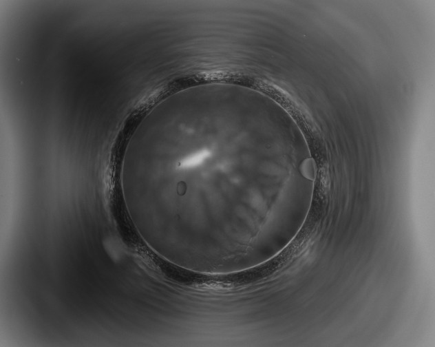 X0000087700691200705111403