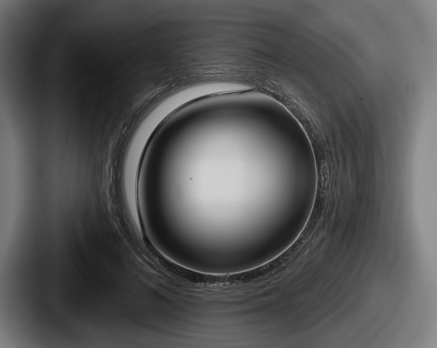 X0000087700692200705111403