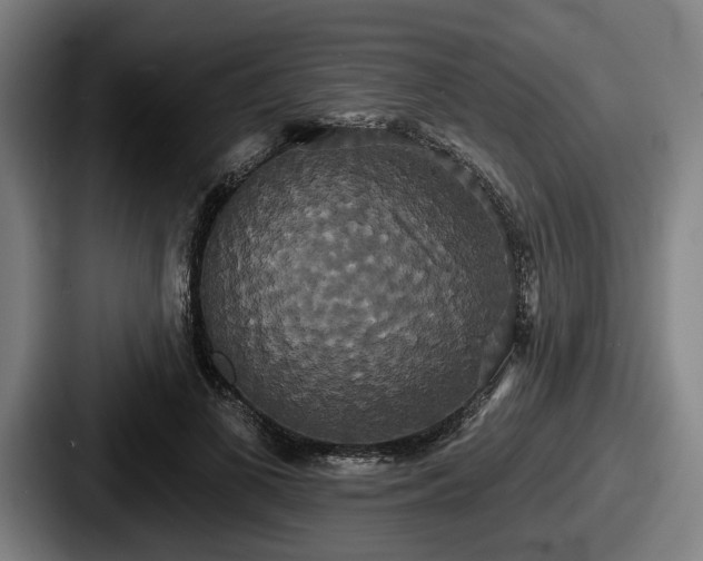 X0000087700693200705111403