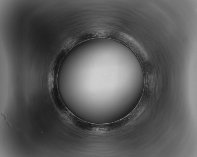 X0000087700694200705111403