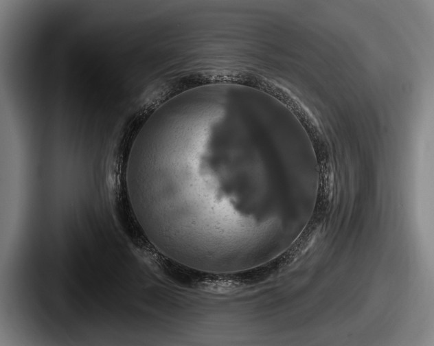 X0000087700695200705111403