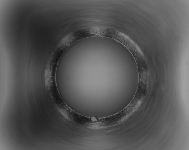 X0000087700696200705111403