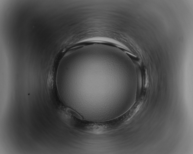 X0000087700697200705111403