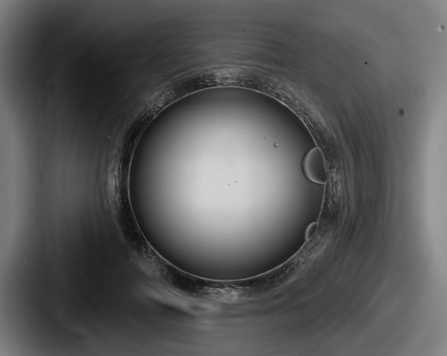 X0000087700698200705111403