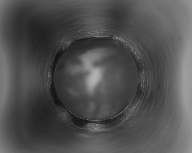 X0000087700699200705111403