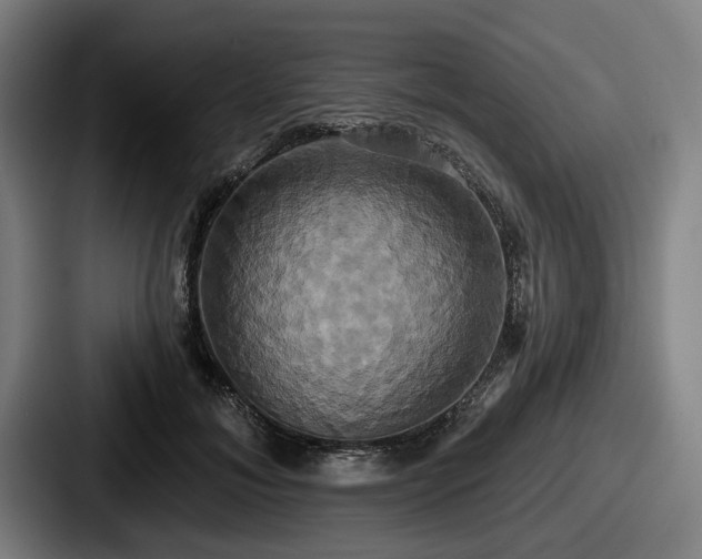 X0000087700700200705111403