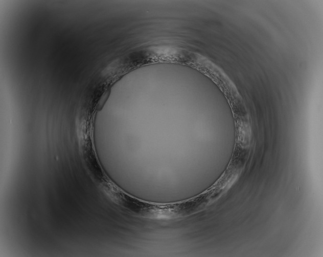 X0000087700701200705111403