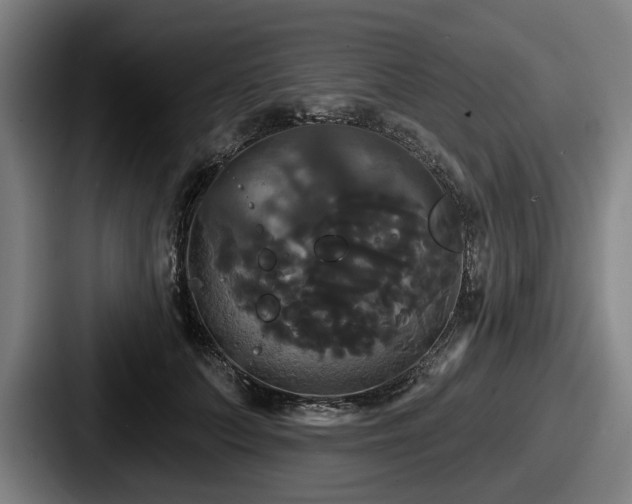 X0000087700703200705111403