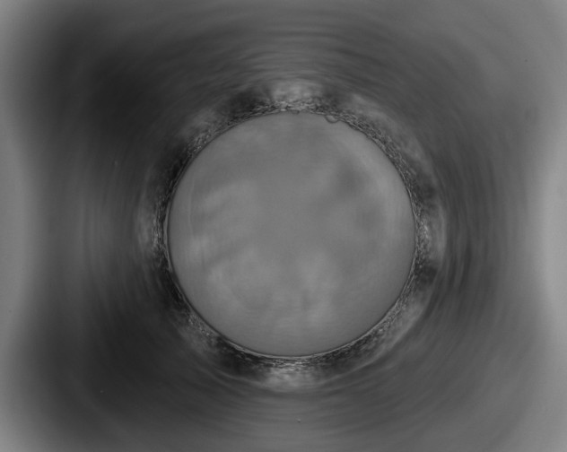 X0000087700705200705111403