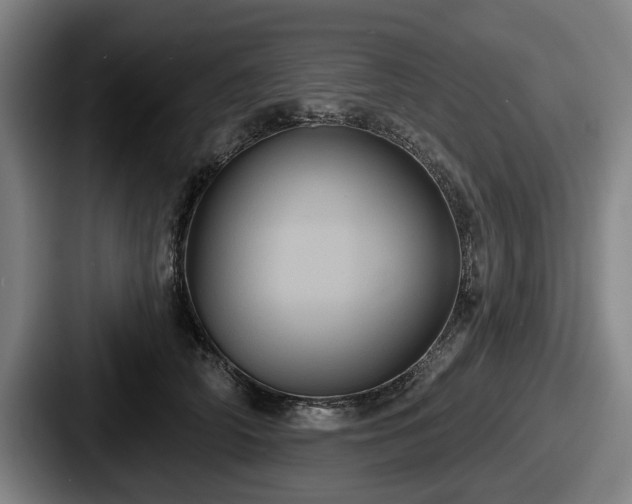 X0000087700706200705111403