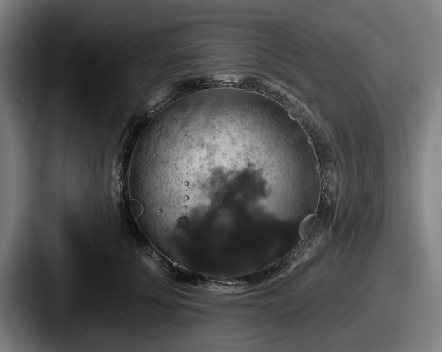 X0000087700707200705111403